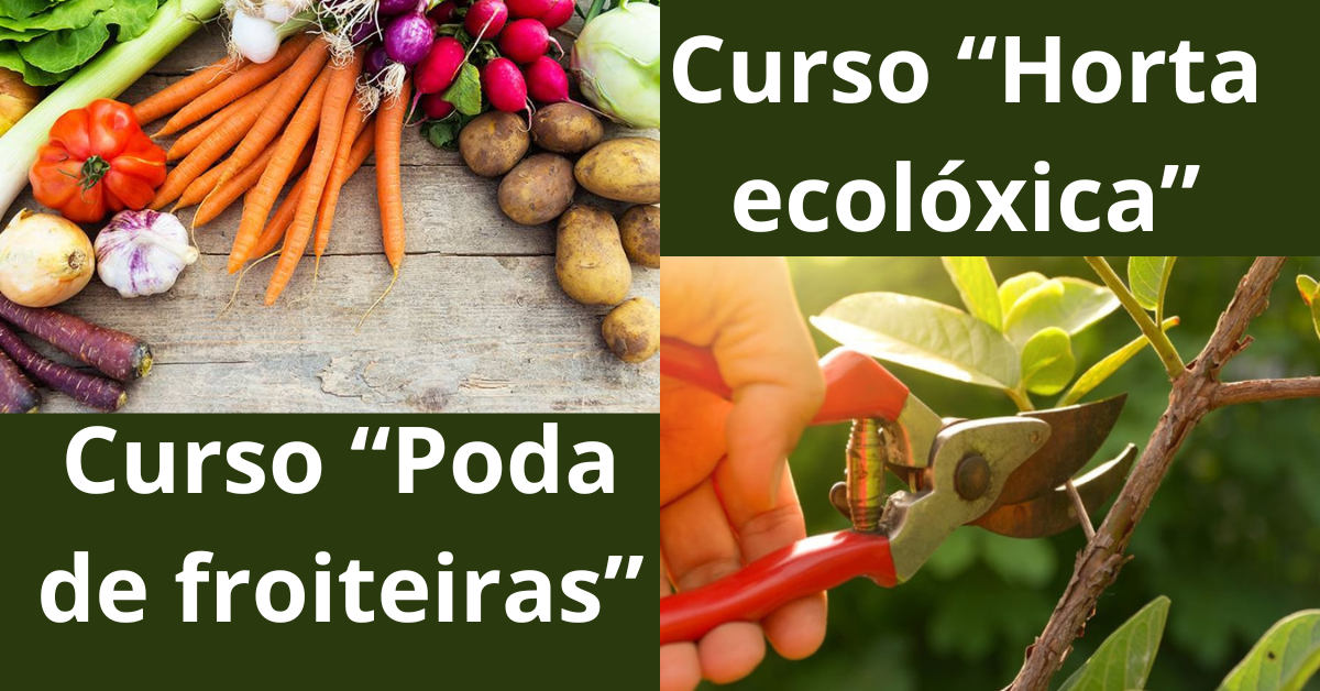 Cursos de «Poda de froiteiras» e «Horta exolóxica»